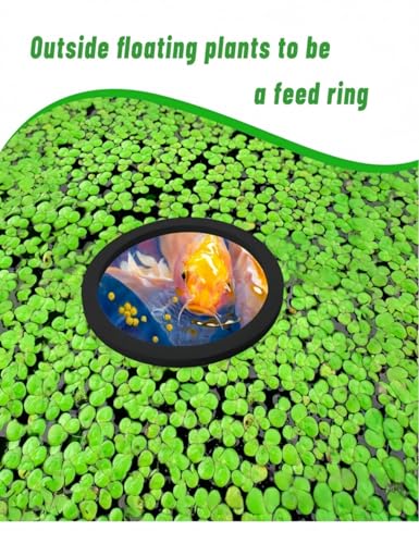 10pcs Fish Feeding Rings Set, Round Floating Aquarium Plant Corral 5 Sizes Fish Tank Accessories, for Betta Aquarium