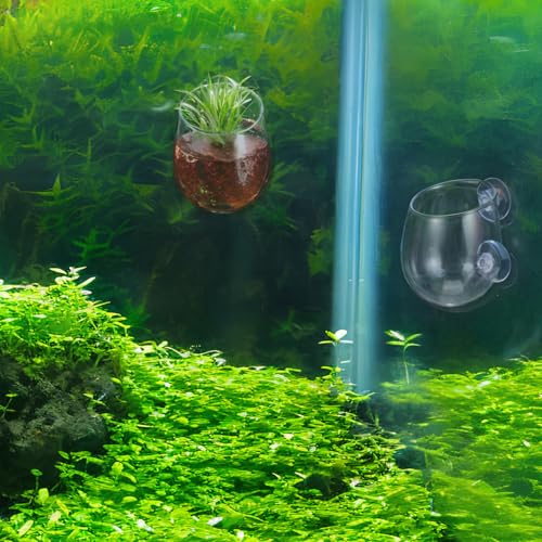 Toddmomy Aquarium Planter Cups 2 Pack with 4 Suction Cups Clear Aquatic Plant Holders for Fish Tank Decoration and Betta Resting Spot Wall Mount Aquarium Supplies for Fresh and Saltwater
