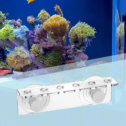 Versatile Acrylic Stand, Ideal for Corals, 6 Holes