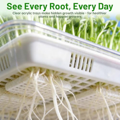 Acrylic Microgreens Growing Trays 3-Pack – Clear Hydroponic Seed Starter Kit with Silicone Mats & Spray Bottle – Reusable Plant Germination Trays for Vegetables, Wheatgrass, Cat Grass – Indoor Garden