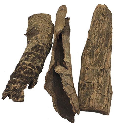 Awesome Aquatic Shrimp Combo Kit 10 Each Catappa, Mulberry and Dadap Leaves, Alder & Casuarina Cones, 10 g Catappa Bark and 1-6 inch Cholla Wood