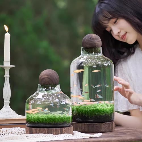 Glass Aquarium with Wooden Base, Microecosphere Fish Tank, Transparent Bottle-Shaped Batta Fish Bowel, Micro-Landscape Ecological Aquarium, Modern Glass Goldfish Tank,S - color: S