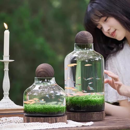Glass Aquarium with Wooden Base, Microecosphere Fish Tank, Transparent Bottle-Shaped Batta Fish Bowel, Micro-Landscape Ecological Aquarium, Modern Glass Goldfish Tank,S - color: S