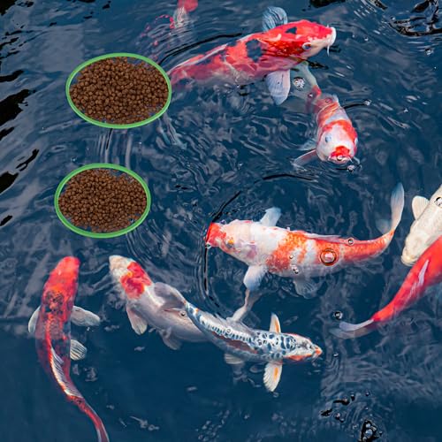 Fish Feeding Ring, Floating Plant Corral, Aquarium Floating Plant Ring, Floating Ring Aquarium Feeding Ring, Fish Tank Plant Corral Set for Aquarium Accessories, 5pcs, Green