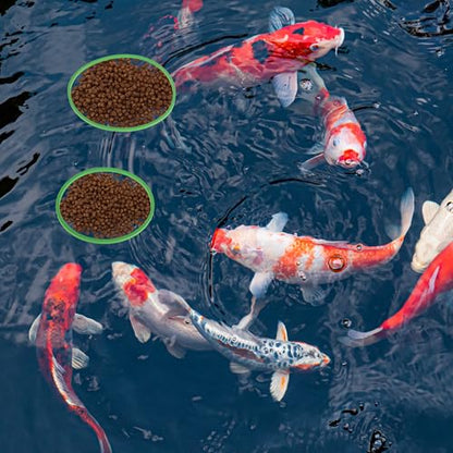 Fish Feeding Ring, Floating Plant Corral, Aquarium Floating Plant Ring, Floating Ring Aquarium Feeding Ring, Fish Tank Plant Corral Set for Aquarium Accessories, 5pcs, Green