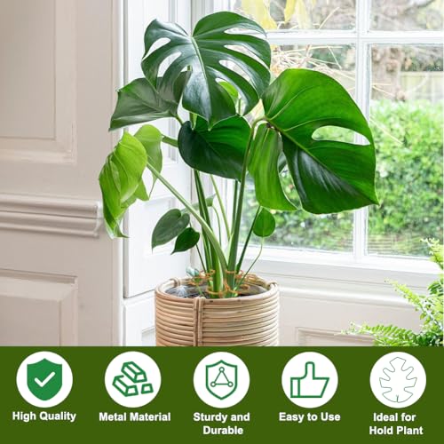 4 Pack Monstera Plant Stem Supports, Metal Garden Support for Climbing Plants, Iron Stem Holder for Monstera, Pothos, Vine – Indoor Plant Climbing for Home Garden - size: B