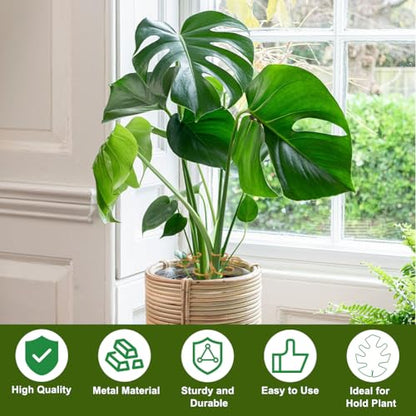 4 Pack Monstera Plant Stem Supports, Metal Garden Support for Climbing Plants, Iron Stem Holder for Monstera, Pothos, Vine – Indoor Plant Climbing for Home Garden - size: B