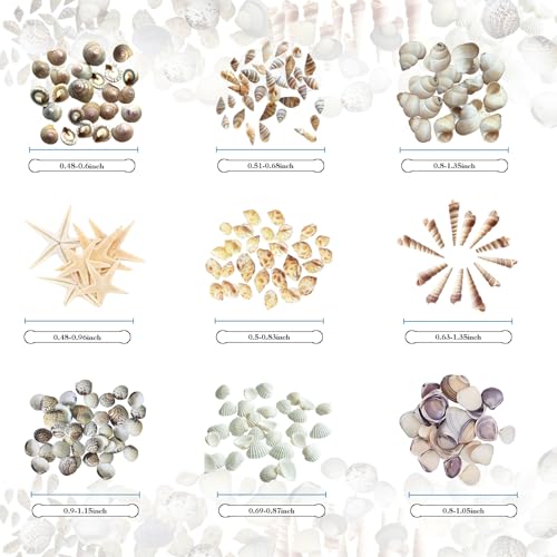 Tiny sea shells & 30 Tiny Starfish Decor Mixed Ocean Beach Spiral Seashells for Home Decor,Wedding Decor, Beach Decor, DIY Fish Tank and vase filler & decorative basket fillers (0.45"-1.35")