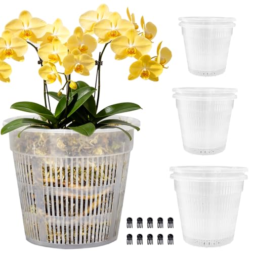 Orchid Pot, 6 Pack Orchid Pots with Holes, 2 Each of 4.5", 5.5", 6.3", Clear Orchid Pots for Repotting, Breathable Slotted Orchids Planter - color: 2 Each of 4.5,5.5,6.3