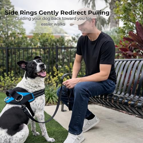 ShawnCo Essential Dog Harness, No-Pull Pet Vest (Driftwood,M) - color: Driftwood, size: Medium