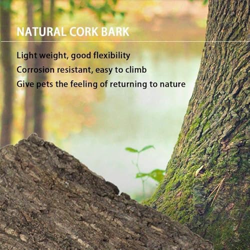 2PCS Cork Terrarium Background 15.7x11.8in Natural Cork Large Bark Backdrop Reptile Climbing Mat Habitat Decor for Spider Lizard Chamelon Turtle Beared Dragon - size: 2PCS-15.7x11.8in