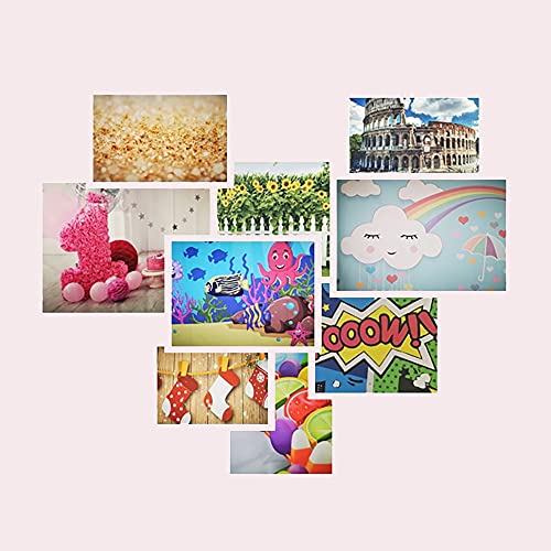 30x12 Inches Rainforest Terrarium Background - Deep Forest Tank Aquarium, Sunny Stream, Stones, Trees, Grass, Tropical Plants - Reptile Habitat, Durable Polyester - size: 30x12in-P