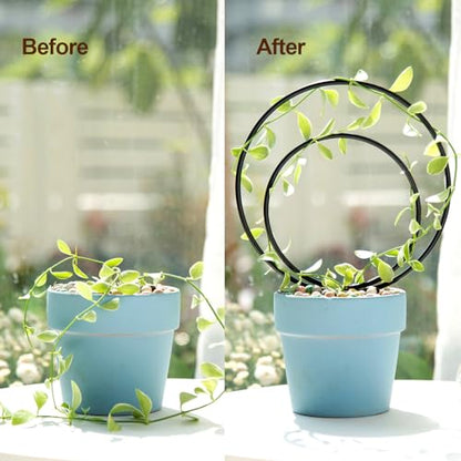 Mirthdino Premium Hoya Trellis - Unique Metal Plant Support for Climbing Plants - Set of 3 Different Sizes - Ideal for Indoor and Potted Plants