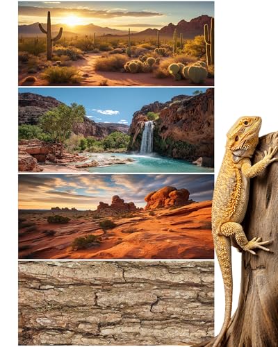 4 Pcs 36 x 18'' Reptile Tank Background 30/40/50 Gallon Bearded Dragon Terrarium Background Decor Polyester Reptile Tank Accessories for Leopard Gecko, Crested Gecko, Tortoises