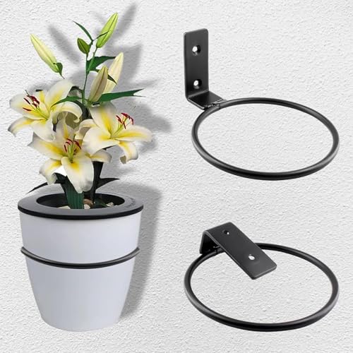 Jiozermi 6 Pack 4 inch Flower Pot Holder Ring, Flower Pot Holder Ring Wall Mounted Set Wall Mounted Metal Planter Hanger Matte Black Hanging Plant Holders - size: 4 Inch-6Pcs