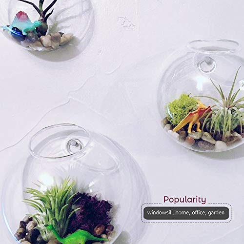 WGV Wall Hanging Planter Terrarium Bulk, Diameter 5", Clear Mounted DIY Succulents Air Glass Floral Container Vase, Tea Light Votive Candle Holder for Decoration 6 Pieces - size: 5"D