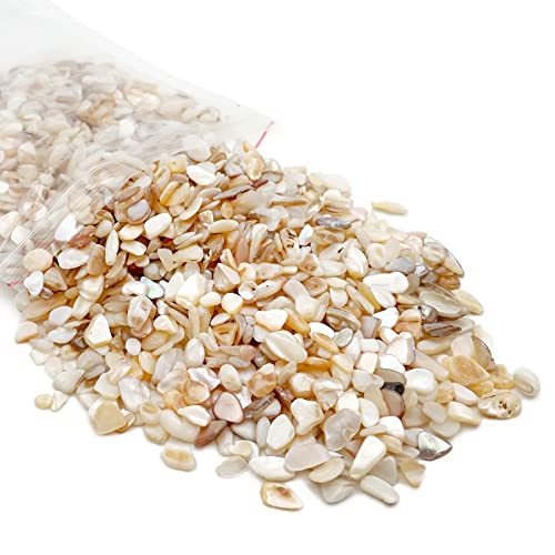 Crushed Shells for Crafts, Sea Shells for Kids DIY Art, Vase Fillers Table Scatter, Party Favor, Wedding Decoration, Succulents Plants Soil Cover, Art Crafts (Beige)