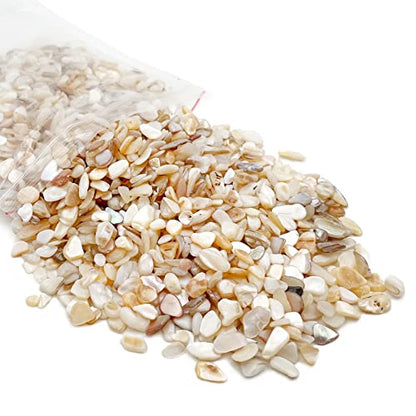 Crushed Shells for Crafts, Sea Shells for Kids DIY Art, Vase Fillers Table Scatter, Party Favor, Wedding Decoration, Succulents Plants Soil Cover, Art Crafts (Beige)