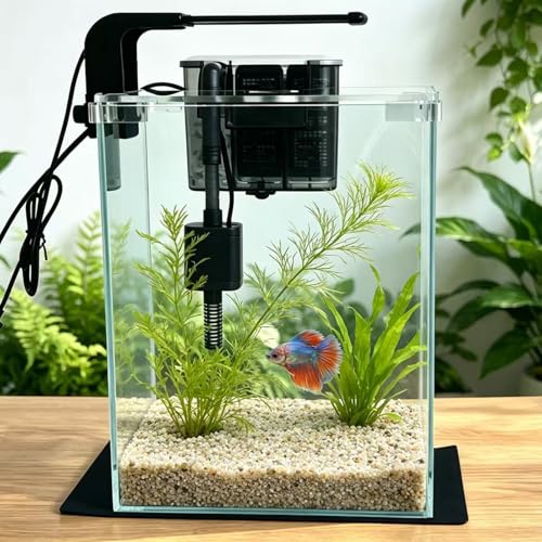 3 Gallon Glass Fish Tank with Filter and Light, Small Betta Aquariums Starter Kit. - size: 3 Gallon