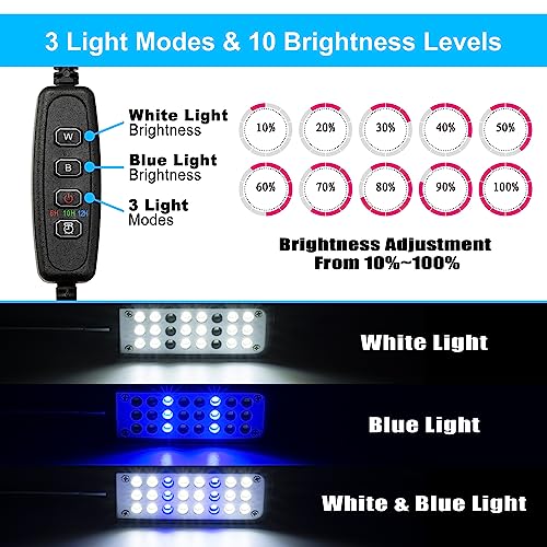 Aquarium Light Small LED Clip Light for Fish Tank 1.5W with Timer&Dimmer, 1 Yr Warranty - size: 1.5W (With Timer & Dimmer)