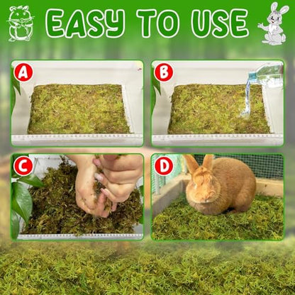 12QT Small Animals Bedding & Nesting Material, Forest Moss for Odor Control Rabbits Squirrels Hamsters Guinea Pigs, Soft & Safe for Small Animals Cages Terrariums Reptiles Plants