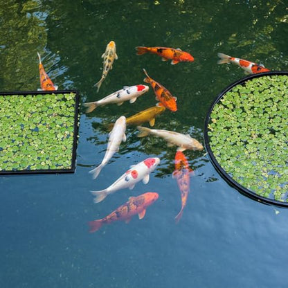 20 PCS Fish Feeding Ring, Aquarium Floating Plant Barrier Feeding Ring for Fish Tank Round Square Different Size Corral Foam Circle Fish-Tank Aquarium Accessories for Tank Keep Floating Plants