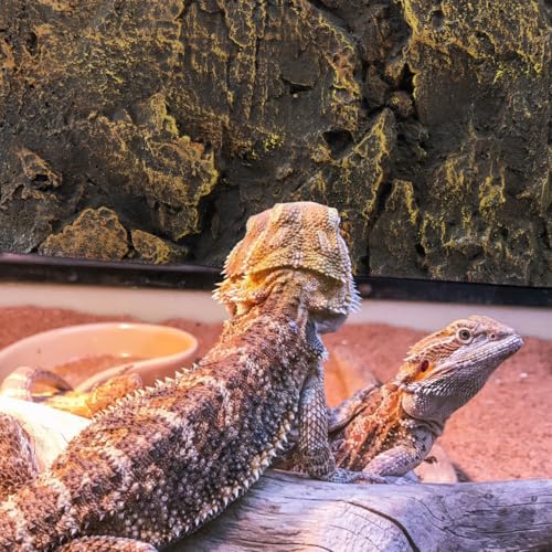 UKCOCO 3D Reptile Tank Background 17.51"x11.81"x1.77" PU Rock Panel, Cut-to-Fit for Terrarium, Aquarium & Turtle Snake Bearded Dragon Habitat