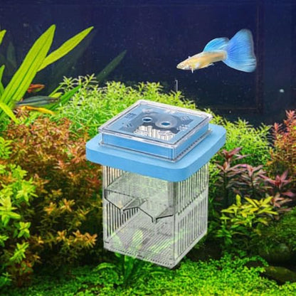 Fish Tank Rearing Box Fish Tank Divider Adjustable Clear Frame Acclimation Case for Fish to Incubate Egg Growing Baby Fish, Blue