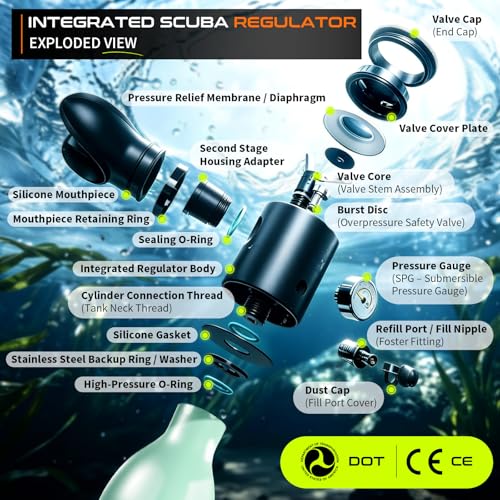GOYOJO Mini Scuba Tank, Portable Diving Lung Air Tank with DOT Certified, Refillable Emergency Backup Pony Bottle for Snorkeling, Underwater Breathing, Training - color: 0.5L Mint Green