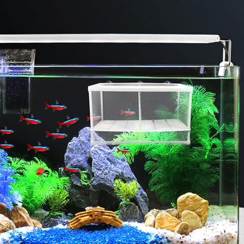BESPORTBLE Fish Fry Hatching Boxes Aquarium Breeding Box Suction Cup Design Style