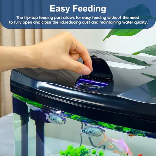 3 Gallon Glass Aquarium Starter Kit with Flip-Top Feeding Port for Betta Fish: Crystal Clear 360° Viewing, Eco-Cycle Filtration, Air Pump, and LED Lighting