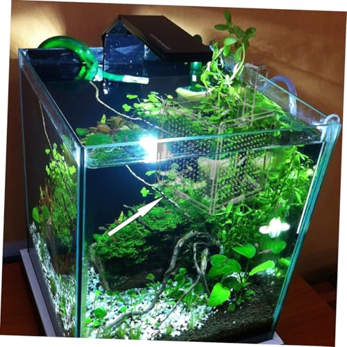 DOITOOL 1set Acrylic Aquarium Isolation Box Cups and Hook Breeding Container for Betta Fish and Shrimp Safe Design for Easy Observation and Feeding