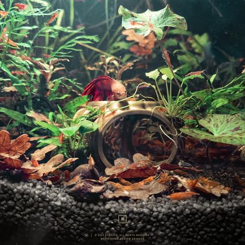 Betta Lair | Swim Through Aquarium Cave & Hideaway – Fish Tank Decoration with Shrimp Feeding Dish for Betta, Shrimp & Small Fish (Clear White, Small)