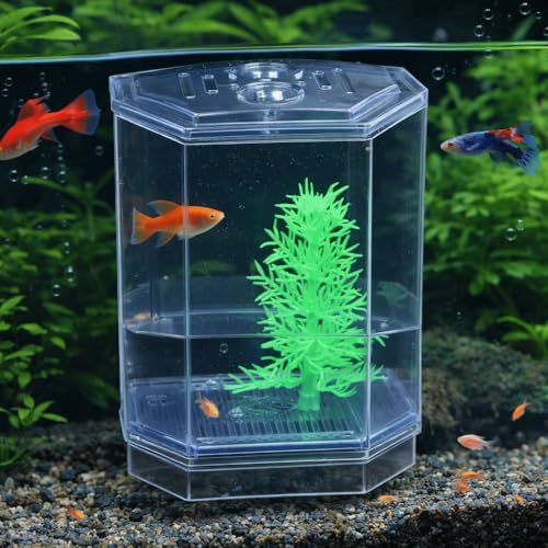 Mini Fish Breeding Box Acrylic Isolation Tank with Dirt Groove for Aquarium Fish Observation and Protection (Single)