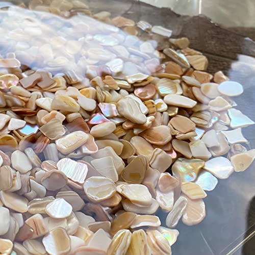 Yew & Tulip Natural Crushed Shells Chips, 32 oz (2 lb) Irregular Mother of Pearl Mosaic Fragments for Crafts, Home Décor, Vase Filler, Wedding, Fish Tank, Wedding, DIY etc. (32 oz (2 lb), Warm)