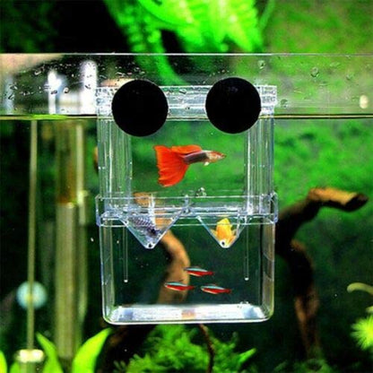 Aquarium Fish Tank Breeding Breeder Rearing Box Hatchery Clear Isolation Case (BX-003) - size: BX-003