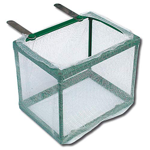 Wave Net Nursery Grow