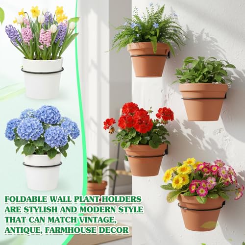Flower Pot Holder Wall Planter Ring Hanger Metal Wall Plant Hanging Pot Holder Mounted Hanging Bracket for Indoor Outdoor Home Garden Plant Flower Display, Black(6 Pcs,10 Inch)