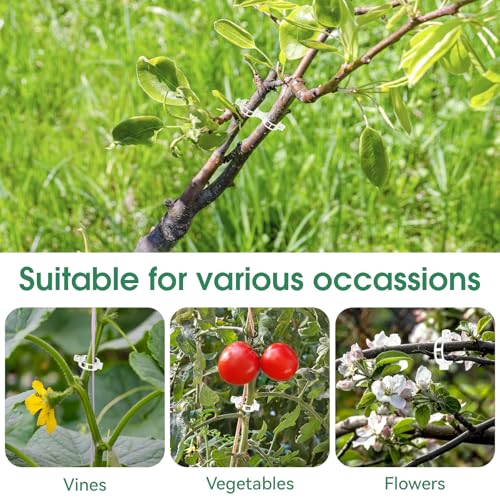 150 Pcs Plant Clips for Climbing Plants, Tomato Clips for Support, Plastic Garden Clips for Plants Grape Vine Vegetables Make Plant Grow Upright