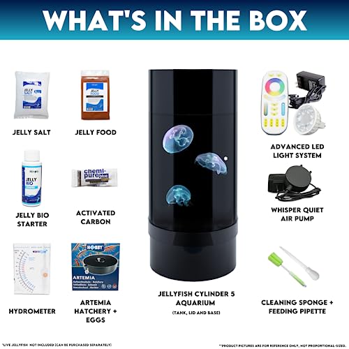 Jelly Cylinder 5 (Aquarium only kit) - Beginner Aquarium for Live Jellyfish (Black)