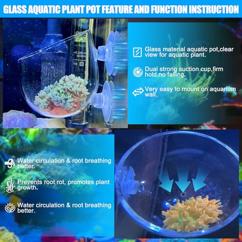 4pcs Glass Aquarium Decor Plants Pot，Crystal Aquatic Plant Pot with Suction Cup, Betta Resting Bed Spot，Aquarium Planter Landscaping Cup with Stones Clip and Tweezers (4pcs Glass Aquarium Plant Pot) - size: 4pcs glass aquarium plant pot