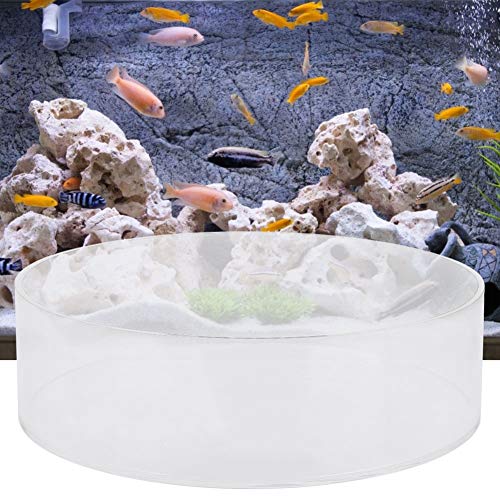 Brrnoo Observe Lense, Fish Observe Lense Aquarium Viewer Fish Acrylic Aquarium Cylinder Magnifier for Viewing and Taking Pictures (200mm)