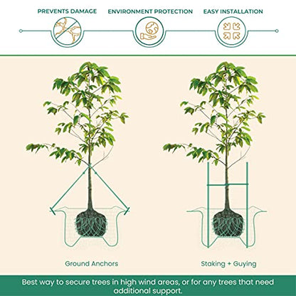 DeepRoot ArborTie Heavy-Duty Ground Anchoring Kit for Tree Support, Includes Three 10’ ArborTie Green and Three 15” Steel Eye Earth Anchors, Versatile Tree Stake Kit, Landscaping Stakes (AT HD15)