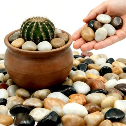 1-2 Inch Polished River Rocks, Decorative Stones for Indoor Plants, Vase Filler, Fish Tank & Aquarium, Garden Landscaping, Mixed, 6LB