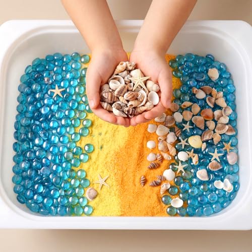 1200 Pcs Small Seashells Starfish Mixed Beach Seashells for Home Decoration Beach Theme Party DIY Crafts Candle Making