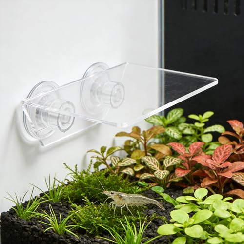 Aquarium Floating Shelf: Fish Tank Acrylic Ledge Plants Holder with Suction Cup - 5.9x4x2in Transparent Ledge for Aquarium Coral Aquatic Plants Moss - size: 15.00X10.00X5.00CM