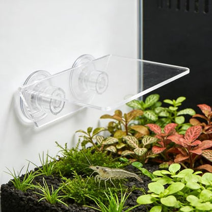 Aquarium Floating Shelf: Fish Tank Acrylic Ledge Plants Holder with Suction Cup - 5.9x4x2in Transparent Ledge for Aquarium Coral Aquatic Plants Moss - size: 15.00X10.00X5.00CM