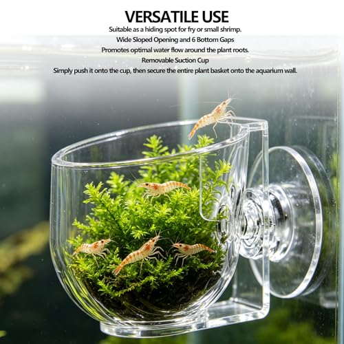 Naroote Suction Cup Aquarium Planter Transparent Acrylic Plant Holder 48x49 mm with Wide Sloped Openings for Fish Tank Shrimp Fry Xmas Moss (Large Size)