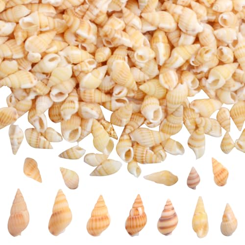 Approx 1500pcs Mini Sea Shells Beach Spiral Seashells Tiny Natural Conch Shell Vase Fillers Accessories for DIY Crafts Candle Making Fishtank Home Wedding Decorations - color: Light Yellow