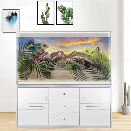 Reptile Habitat Background Rock Blue Sky Oasis Cactus Sunset Desert Terrarium Background 36X18IN with 8 EVA Double-Sided Tape - size: 36X18in/90X45cm